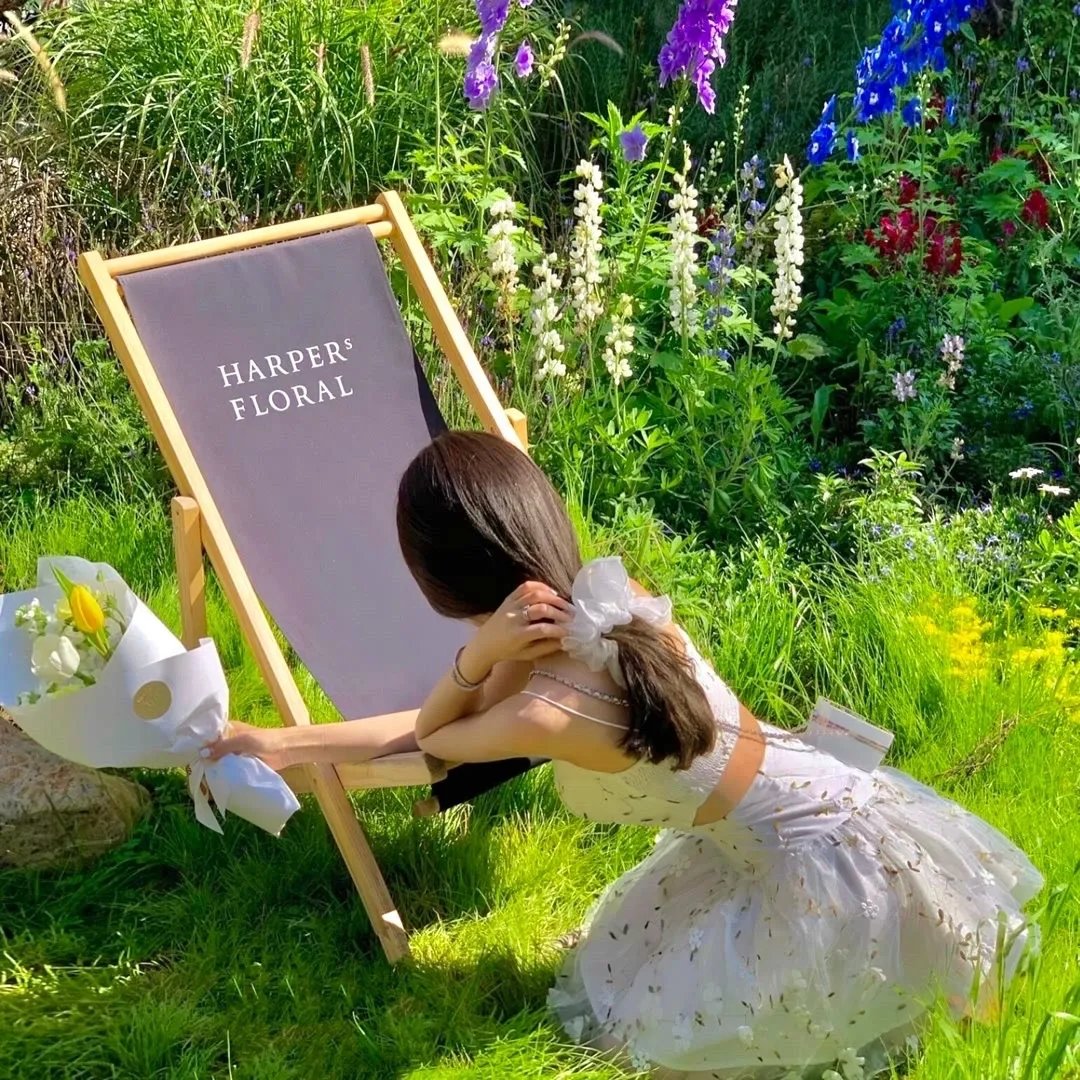 精灵梦叶罗丽10