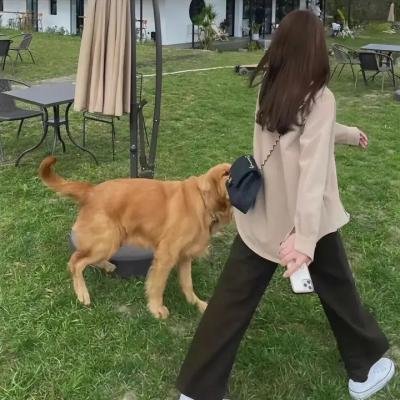 不老宝藏「猜、情、寻」